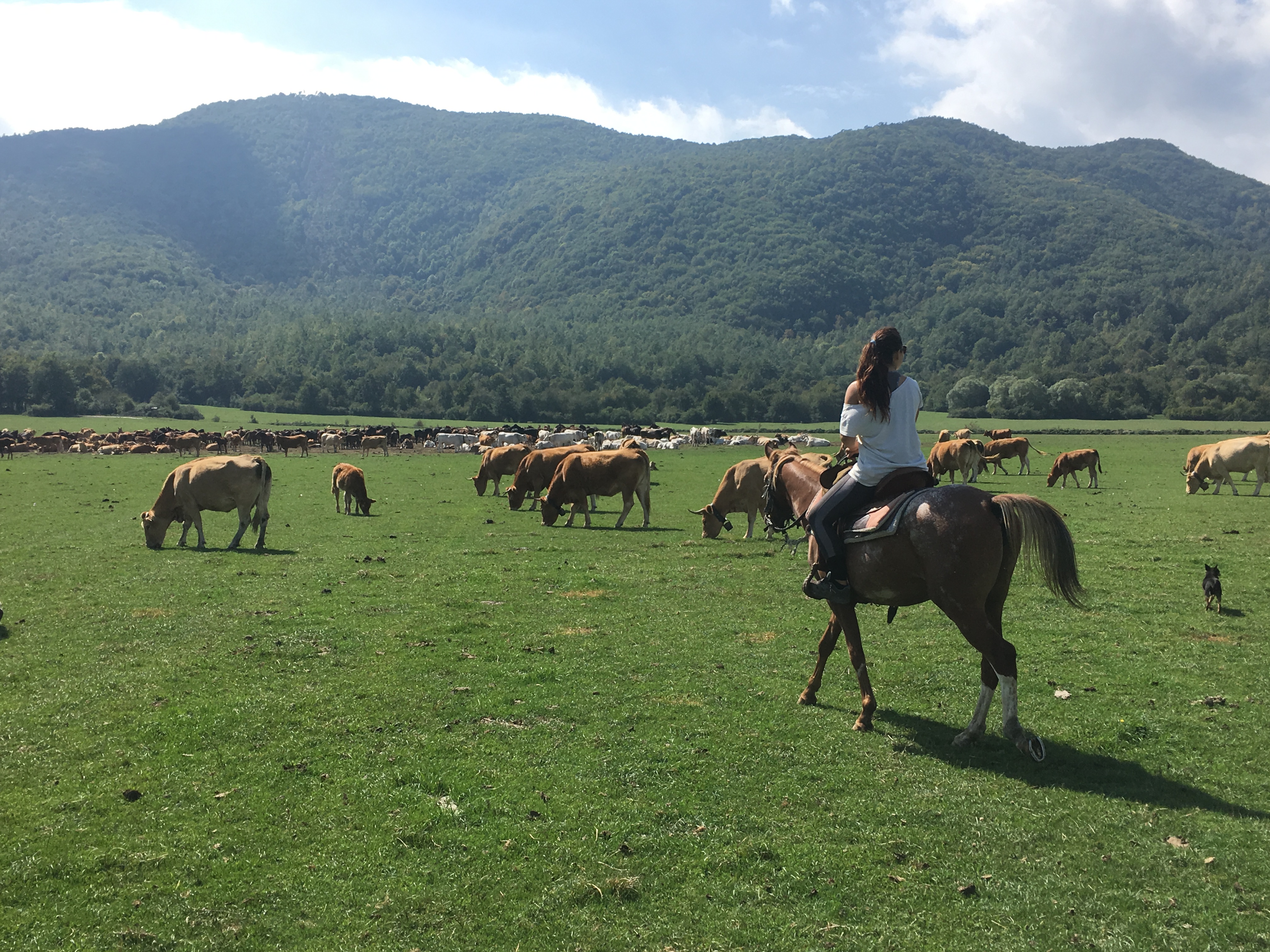 Ranch Brionna Abruzzo